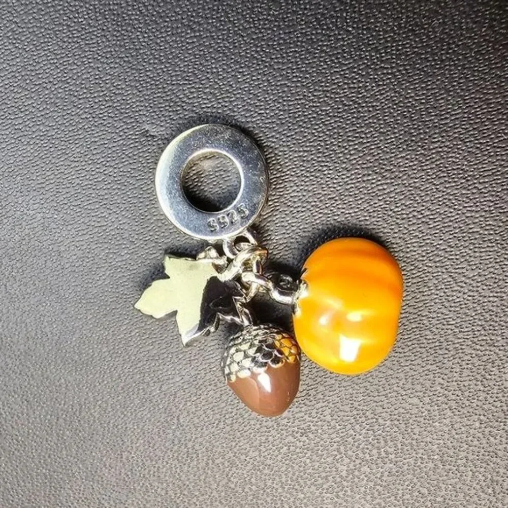 🎃 925 Silver Charm with Fall‎ Elements (NWOT)